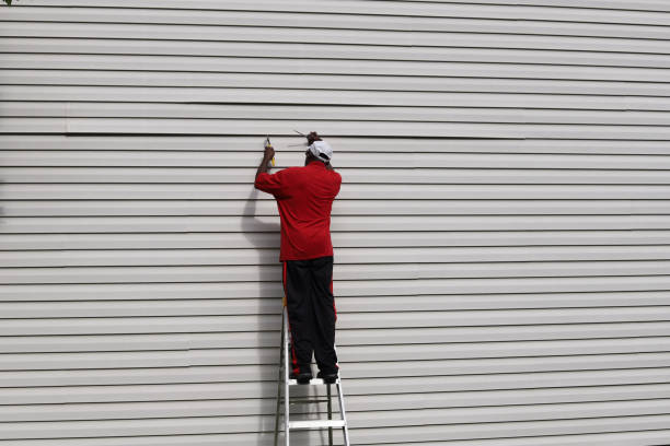 Best Aluminum Siding Installation  in Bell Gardens, CA